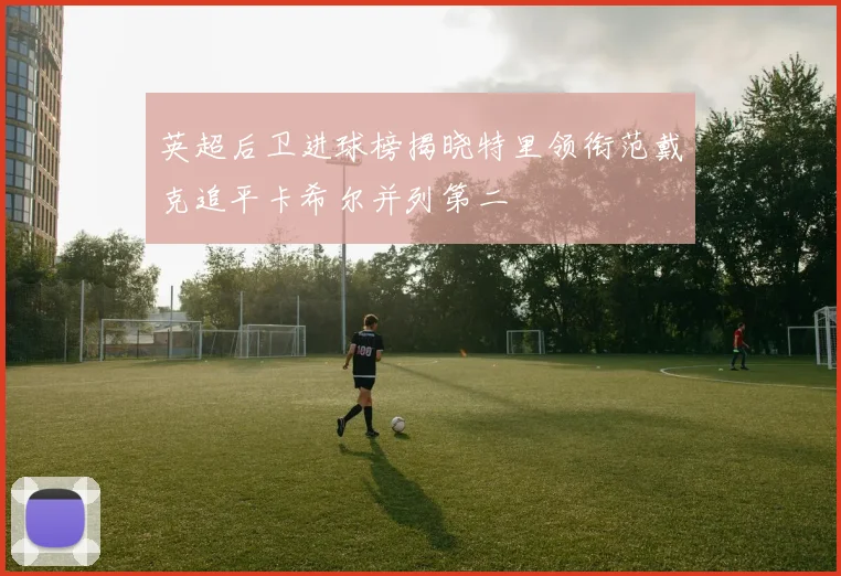 英超后卫进球榜揭晓特里领衔范戴克追平卡希尔并列第二