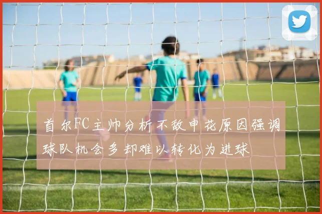 首尔FC主帅分析不敌申花原因强调球队机会多却难以转化为进球