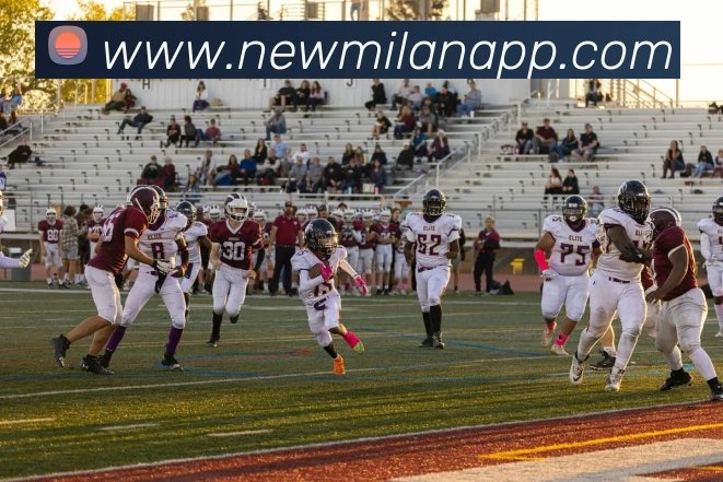 米兰体育APP 封面图