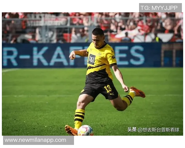 本菲卡瞄准格雷罗欲引进新左后卫加强阵容 本菲卡瞄准格雷罗欲引进新左后卫加强阵容